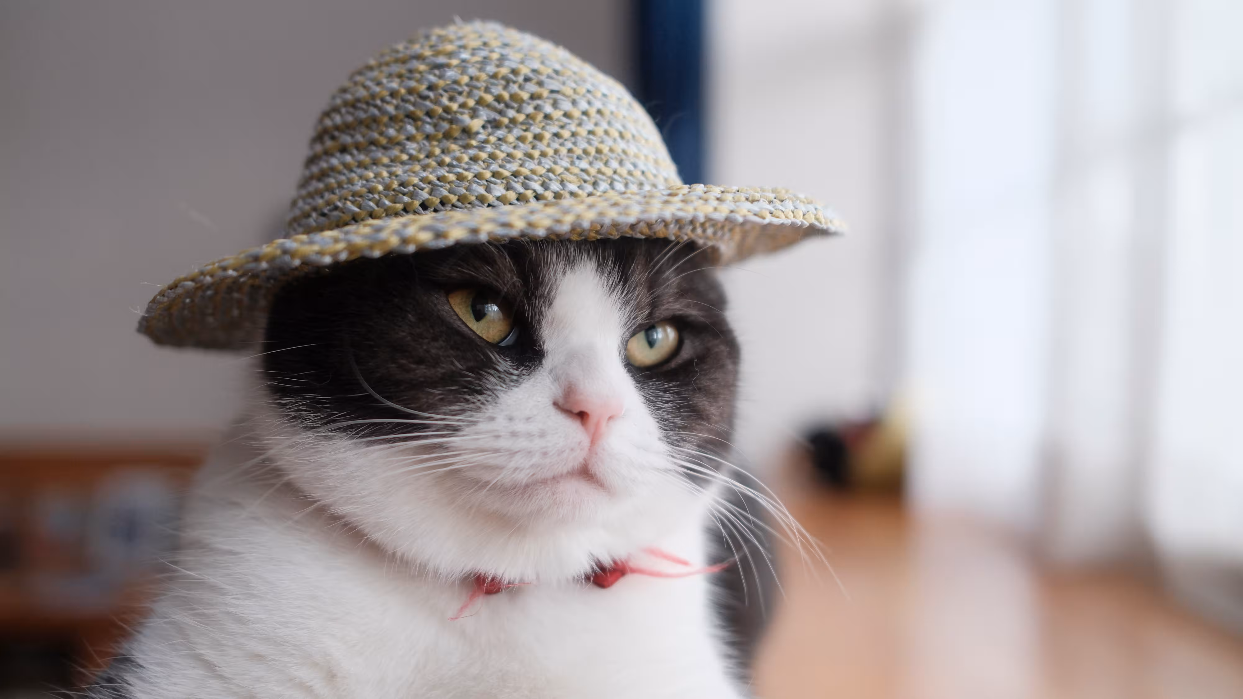 Cover Image for PageSpeed Insights で携帯パフォーマンススコアを満点 (100) にした